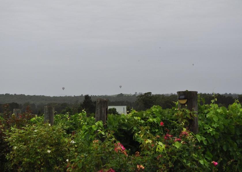 New South Wales Rothbury View from Property