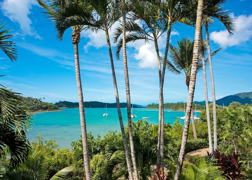 Queensland Shute Harbour Beach/Ocean View