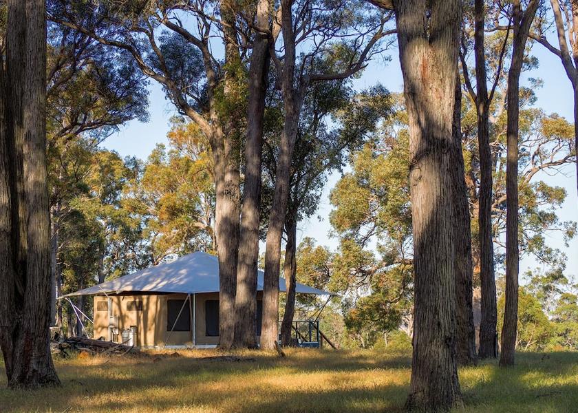 Western Australia Kangaroo Gully Room