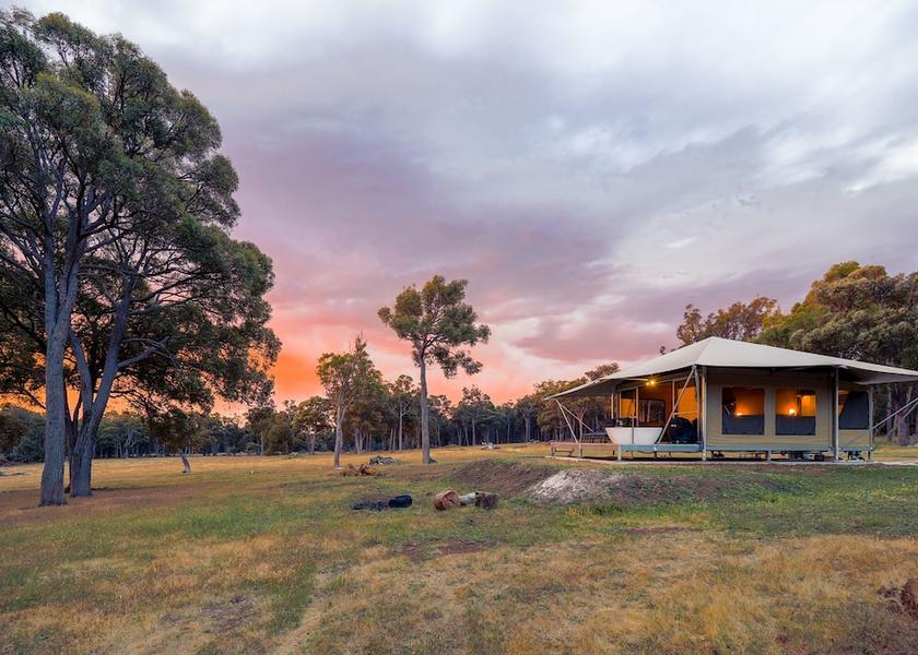 Western Australia Kangaroo Gully Room