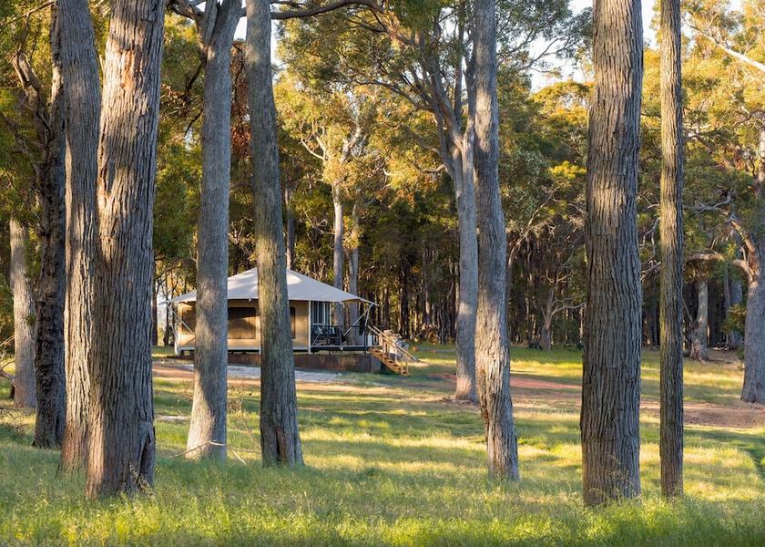 Western Australia Kangaroo Gully View From Room