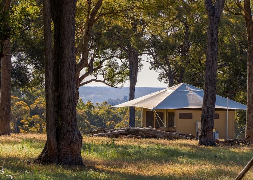Western Australia Kangaroo Gully Room