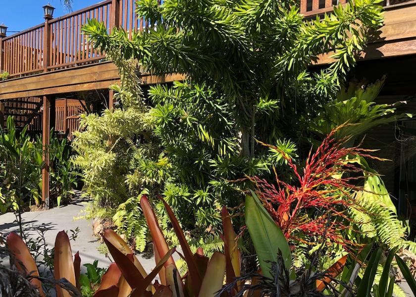 Queensland Hervey Bay Primary image