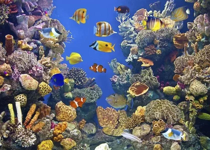 Queensland Townsville Property Grounds