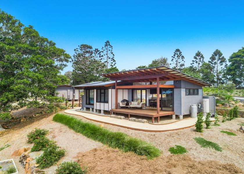 New South Wales Talofa Primary image