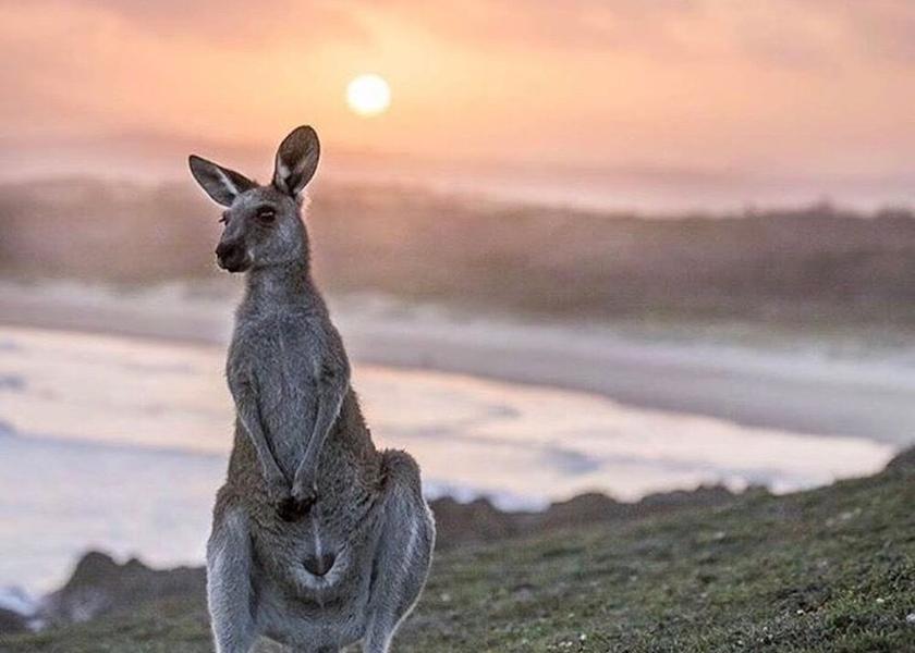 New South Wales Coffs Harbour Beach