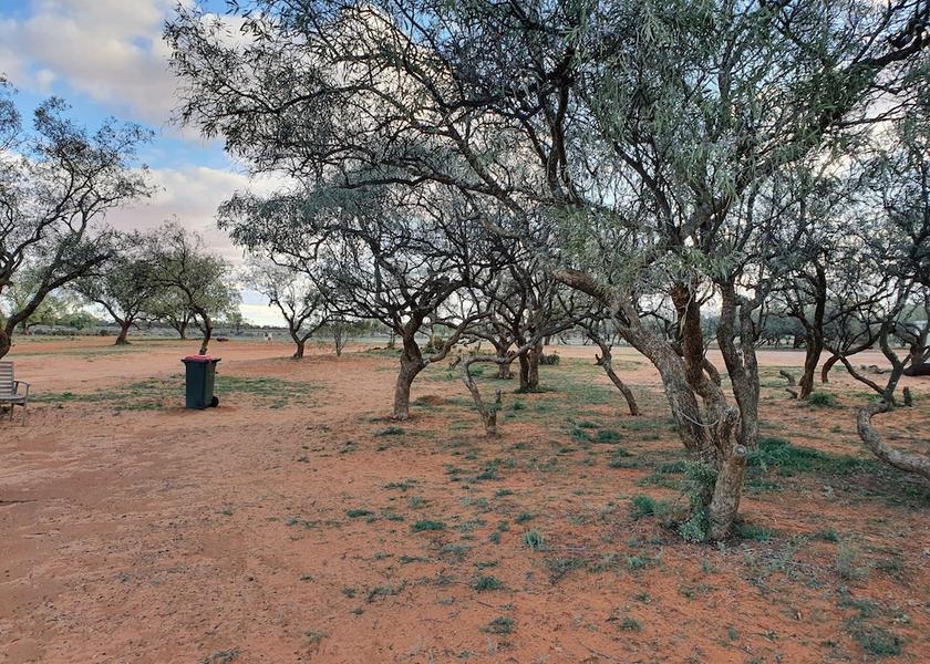New South Wales Arumpo Garden