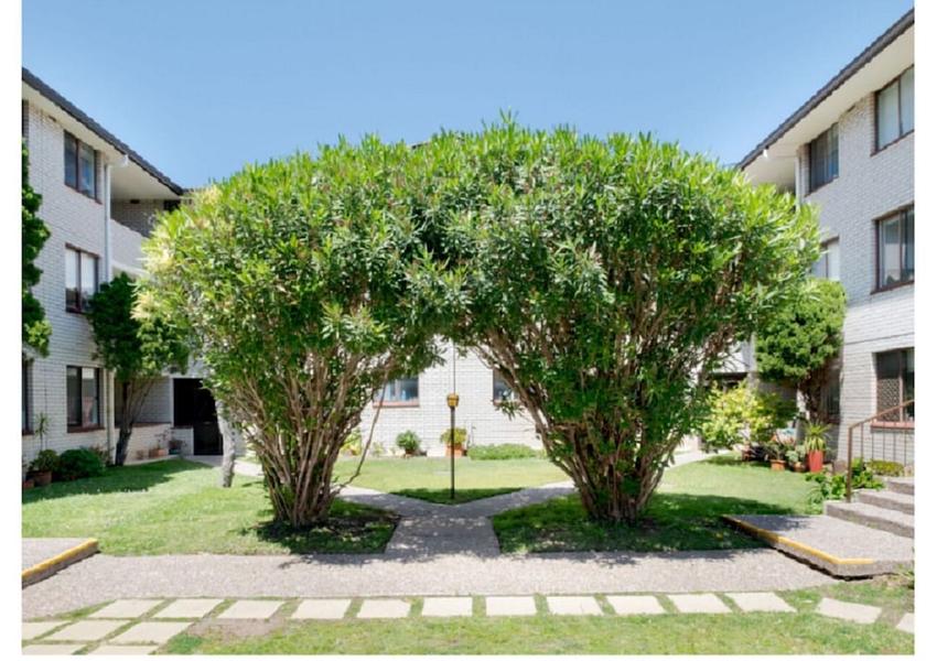 New South Wales Sydney Courtyard View