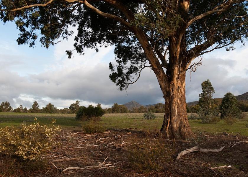 Victoria Pomonal Property grounds