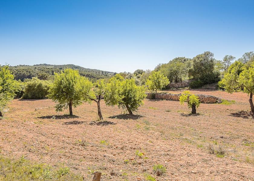 Balearic Islands Algaida Property Grounds
