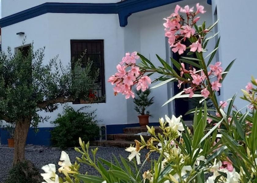 Andalusia Álora Exterior Detail