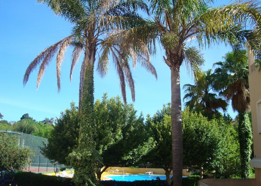 Andalucia Isla Cristina Property Grounds