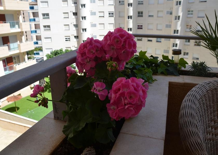 Valencian Community Villajoyosa Terrace