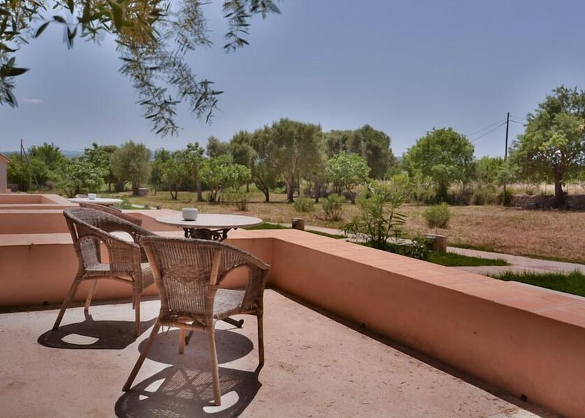 Balearic Islands Binissalem Garden