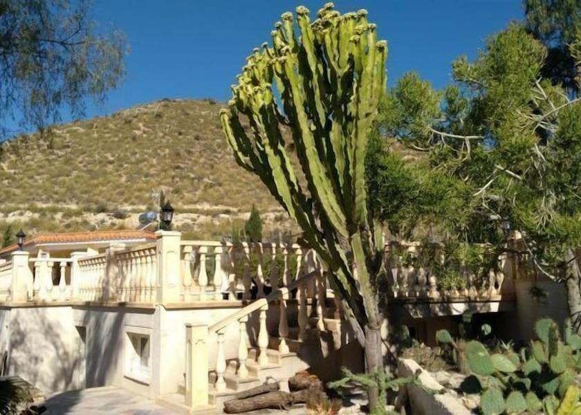 Valencian Community San Vicente del Raspeig Exterior Detail