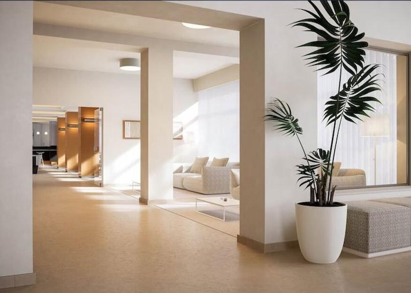 Balearic Islands Palma de Mallorca Reception