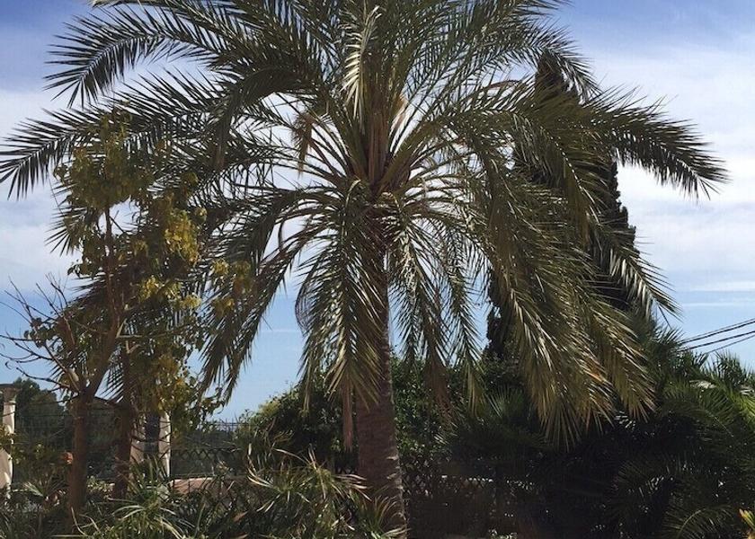 Balearic Islands Palma de Mallorca Exterior Detail