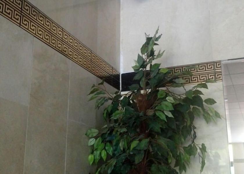 Valencian Community Torrevieja Interior Entrance