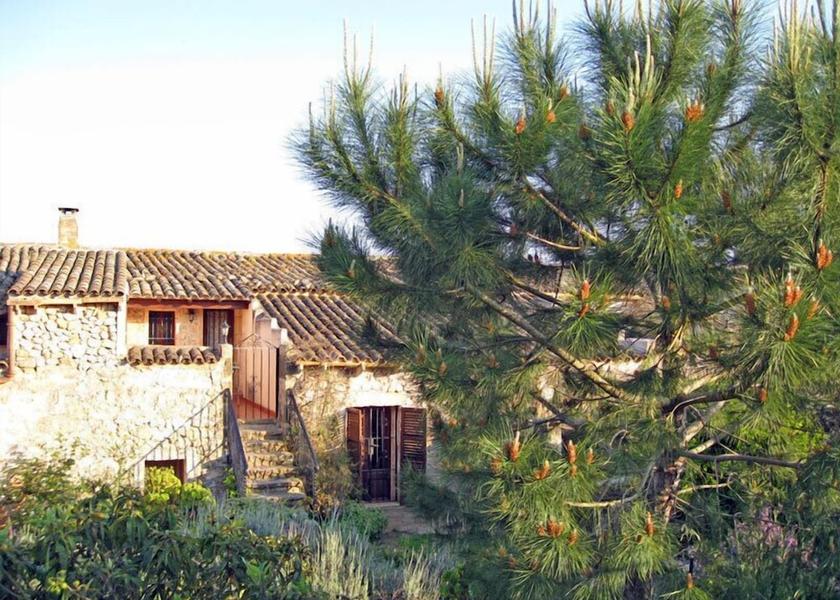 Balearic Islands Manacor Exterior Detail