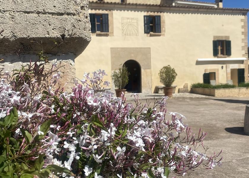 Balearic Islands Arta Reception