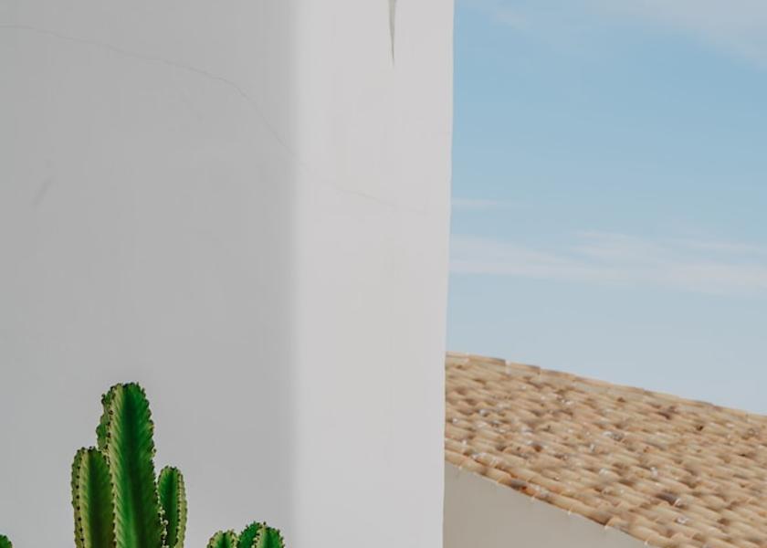 Valencian Community Altea Terrace