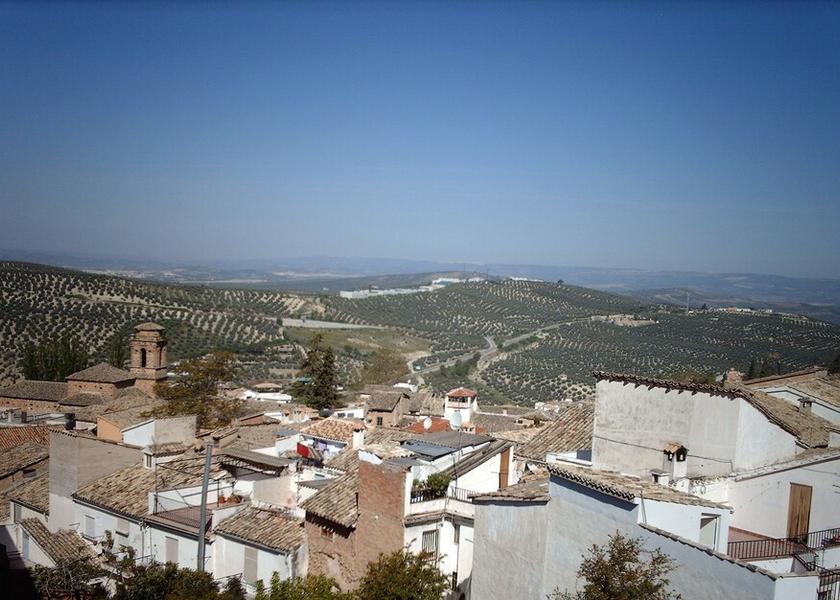 Land View from Property