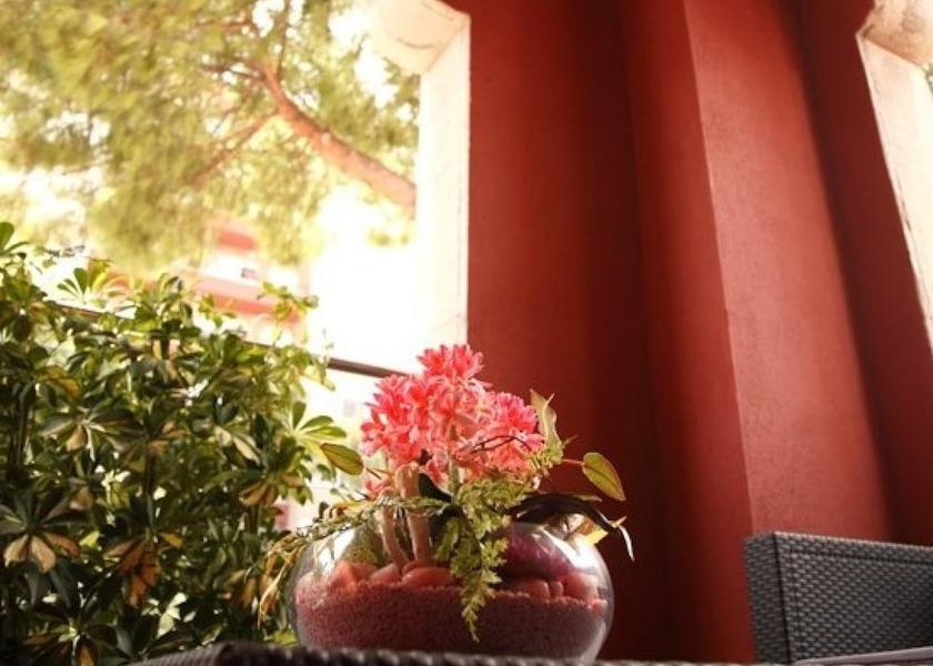 Catalonia Vilassar de Mar Terrace