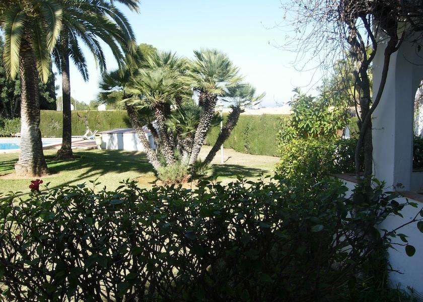 Valencian Community Pedreguer Garden