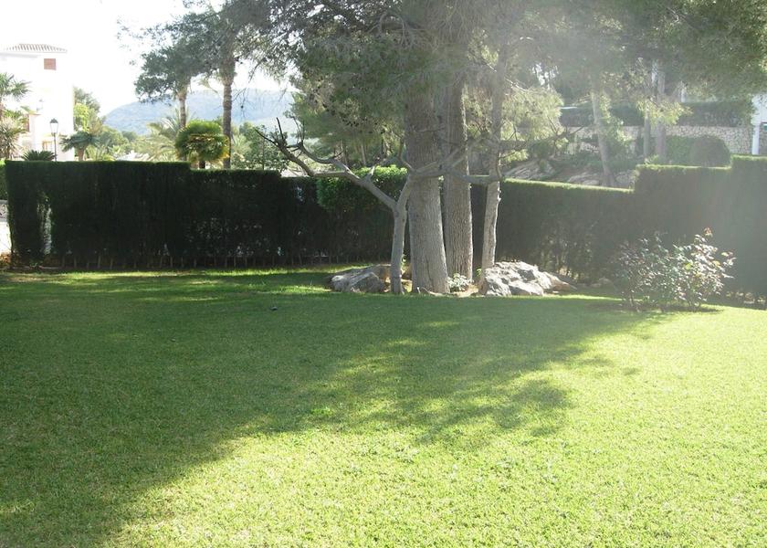 Valencian Community Pedreguer Garden