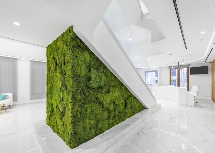 Valencian Community Alicante Lobby