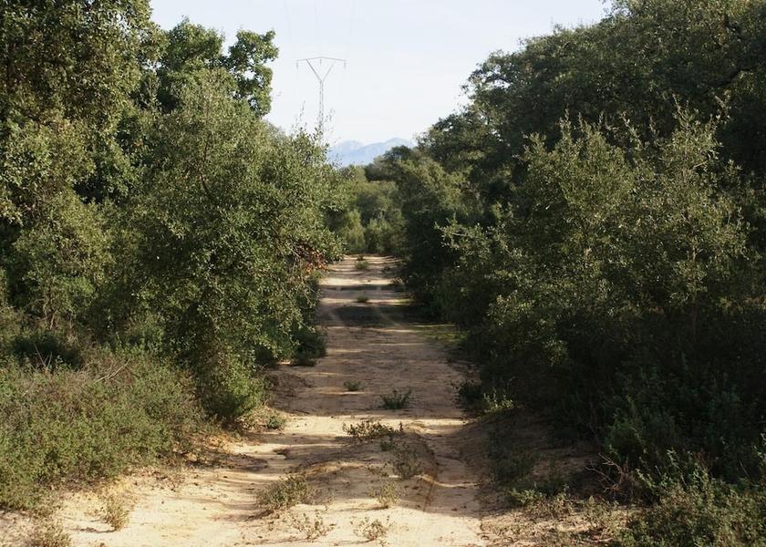Andalusia Arcos de la Frontera Property Grounds