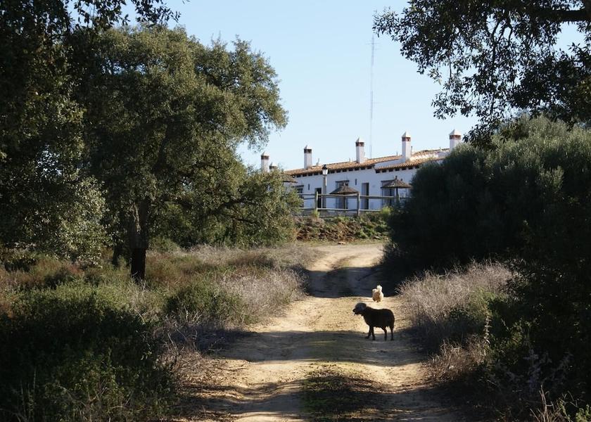 Andalusia Arcos de la Frontera Property Grounds