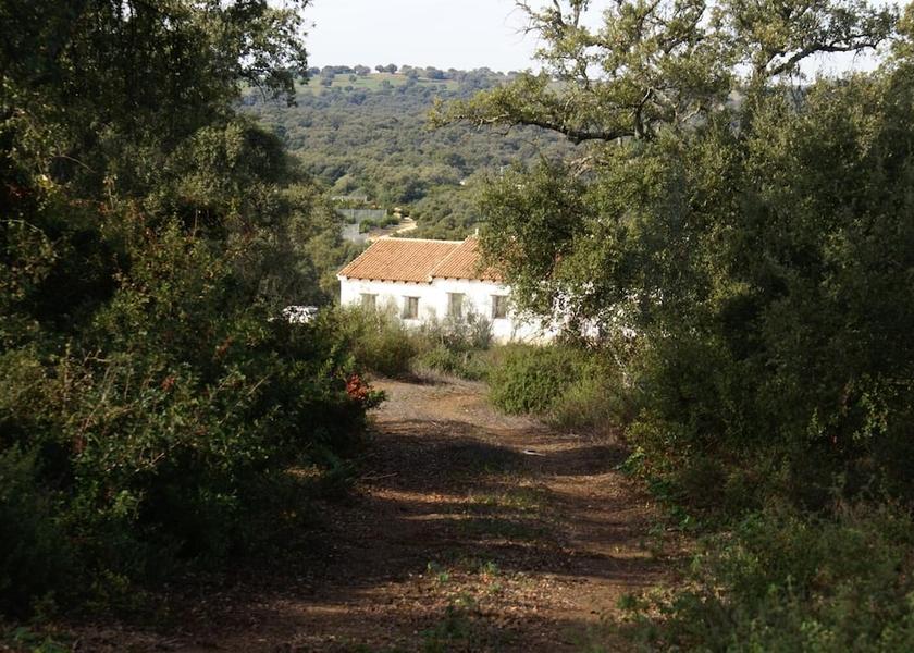 Andalusia Arcos de la Frontera Property Grounds