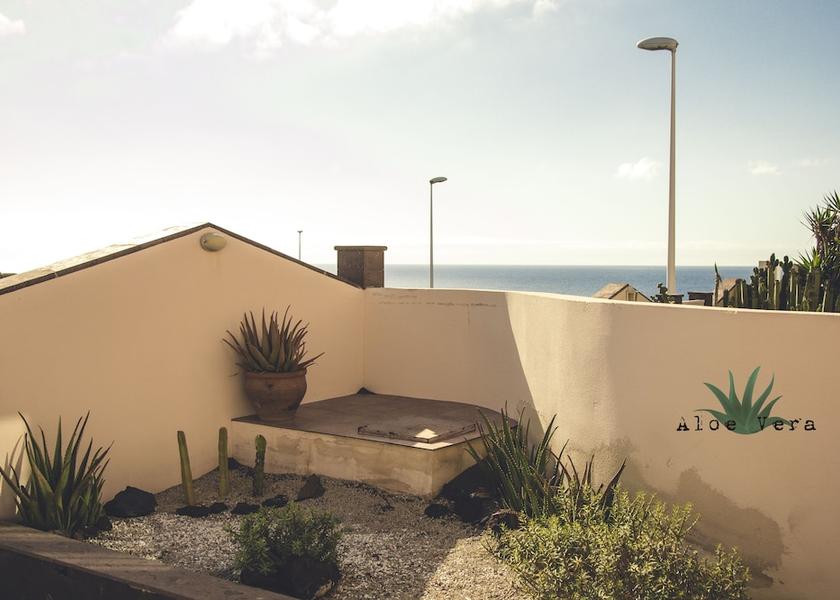 Canary Islands Granadilla de Abona Garden