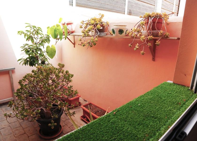 Canary Islands Granadilla de Abona Exterior Detail