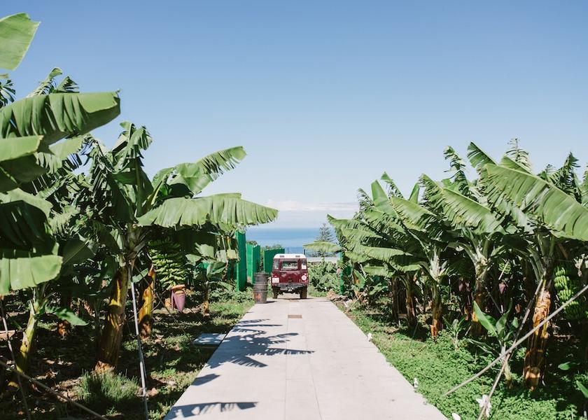 Canary Islands Los Realejos Bathroom