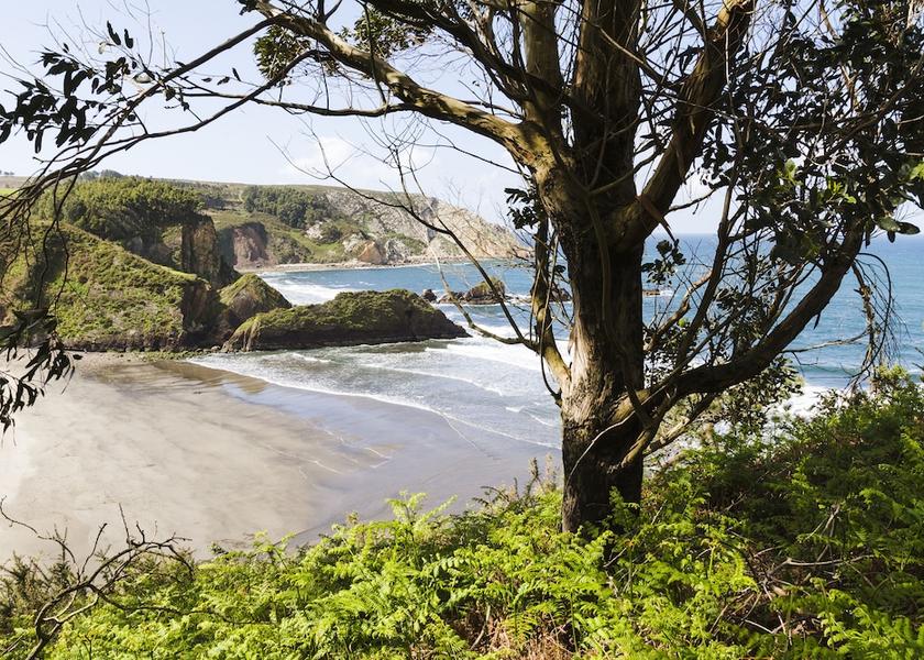Asturias Castrillon View from Property
