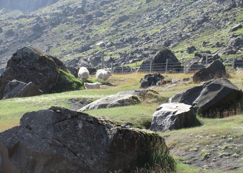Eastern Region Djupivogur Property Grounds