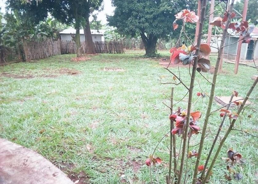  Masindi Property Grounds