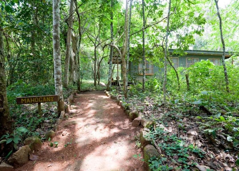 Western Region Masindi Property Grounds