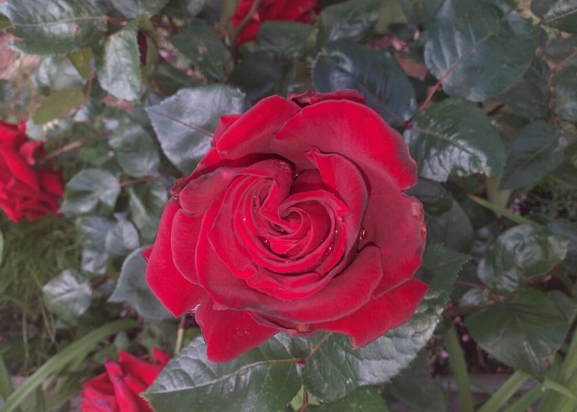Sibenik-Knin Tribunj Exterior Detail