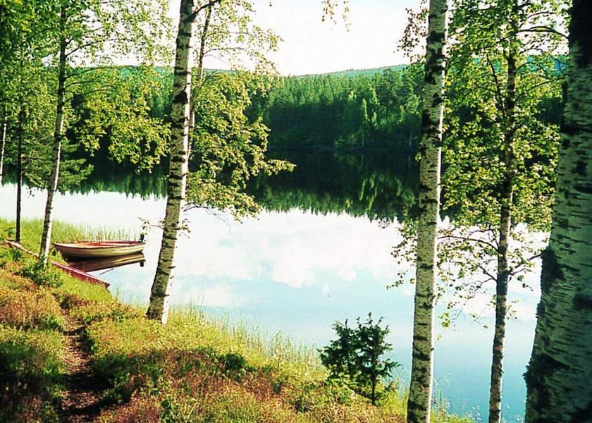 Varmland County Torsby View from Property