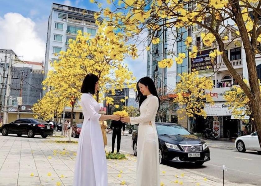 Quang Ninh Province Mong Cai Front of property