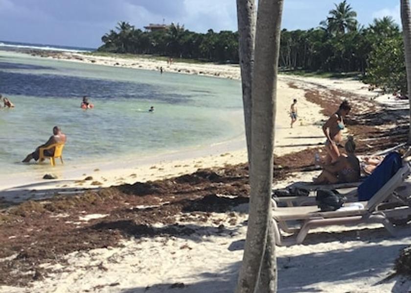 Quintana Roo Punta Sam Beach