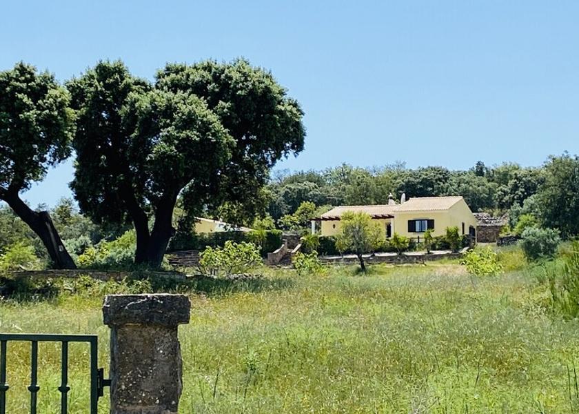 Faro District Sao Bras de Alportel Property Grounds