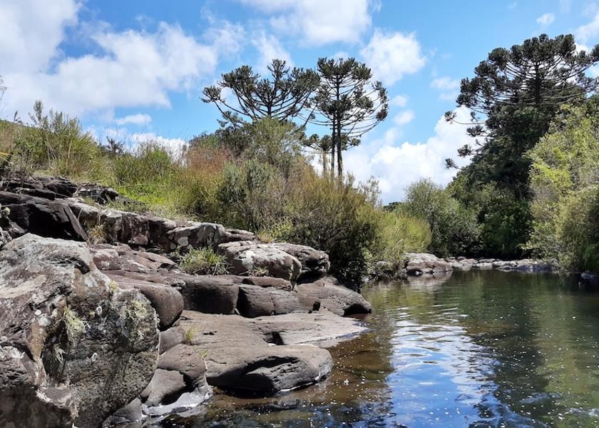 Santa Catarina Urubici Garden