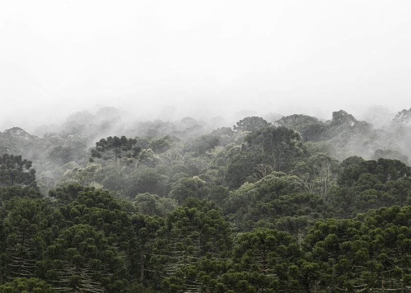 Santa Catarina Urubici View from Property