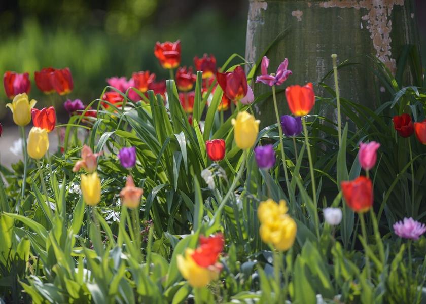 Bourgogne-Franche-Comte Montagny-les-Beaune Exterior Detail