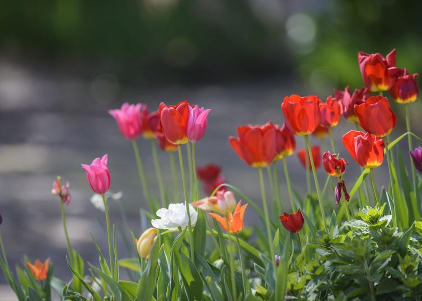 Bourgogne-Franche-Comte Montagny-les-Beaune Exterior Detail