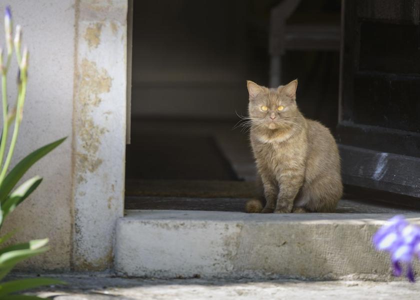 Bourgogne-Franche-Comte Montagny-les-Beaune Exterior Detail